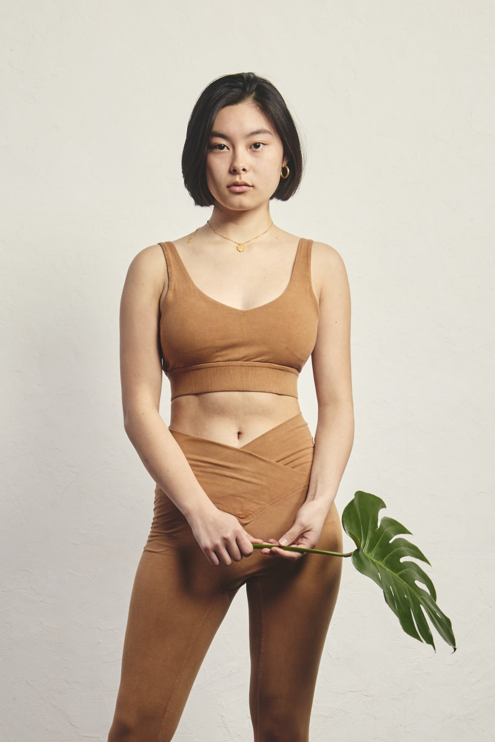 color_Coco Rose